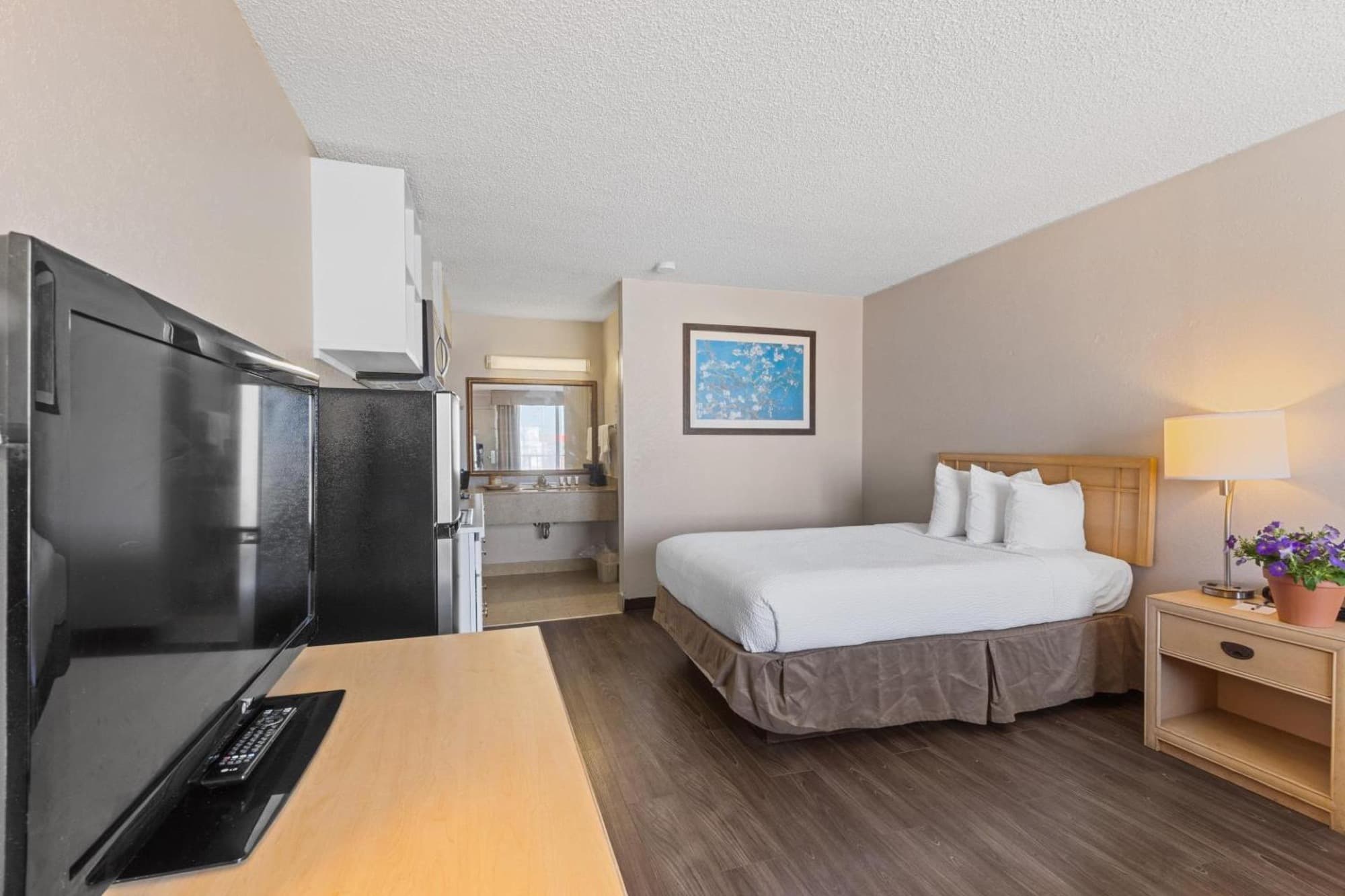 King room with flat-screen TV and a window onto the pool